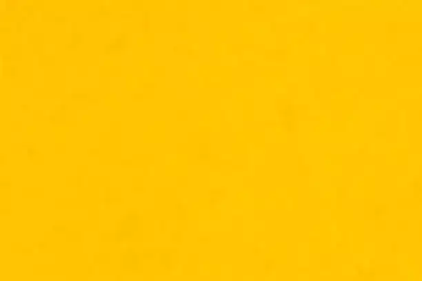 Welcome to Vandna Zala